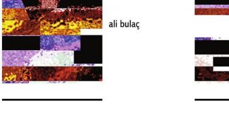 Islami dhe demokracia, teokracia dhe totalitarizmi – Ali Bulac
