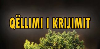 Qëllimi i krijimit – Dr. Bilal Filips