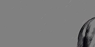 Pse shumica e grave janë banore të Xhehennemit – Abdulaziz esh-Shenavi