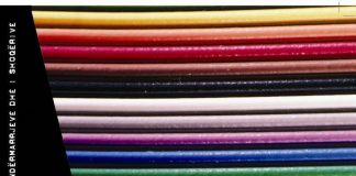 Drejtimi financiar i ndërmarrjeve dhe i shoqërive – Jean-Louis Amelon