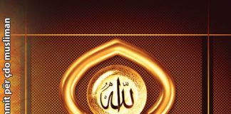 Mbrojtja e të Gjithëfuqishmit – Osman Abazi