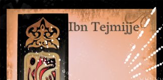 Xhinët – Shejhul-Islam Ahmed ibn Tejmijje