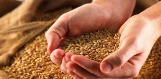 Dispozitat e Zekatit te Fitrit – Agron Krasniqi