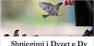 Shpjegimi i dyzet haditheve të Neveviut – Didmar Faja