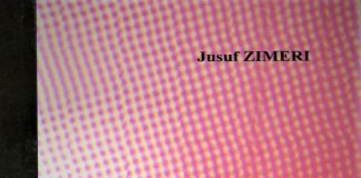 Emancipimi i femrës dhe moda – Jusuf Zimeri