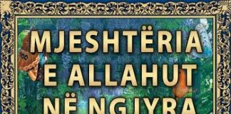 Mjeshtria e Allahut në ngjyra – Harun Jahja