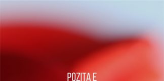 Pozita e gruas në Islam – Dr. Abdurrahman Shiha