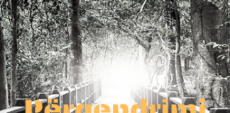 Përqendrimi në fenë e Allahut – Salih el-Feuzan