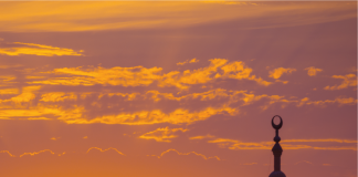 Të tjerët për Islamin – Ajni Sinani