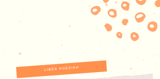 Dëshiroj të jem ai që nuk duhet të jem – Dr. Musli Vërbani