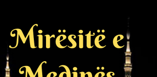 Mirësitë e Medinës – Abdulmuhsin el-Abad