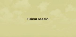 Jetësimi i dijes – Mr. Flamur Kabashi