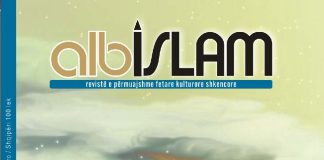 Albislam 53