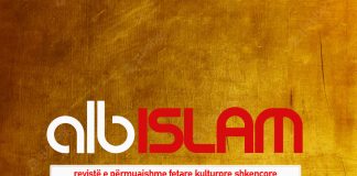 Albislam 65