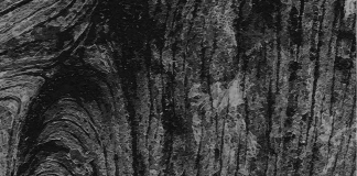 Shenja në rrugë – Sejjid Kutb (version i edituar) SHENJA NË RRUGË - Sejjid Kutb (Version i edituar)