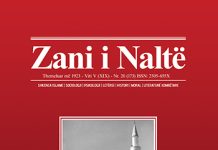 Zani i Naltë 20 (173)