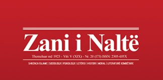 Zani i Naltë 20 (173)