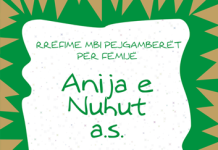 ANIJA E NUHUT a.s.
