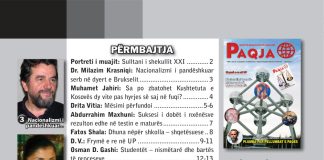 Revista Paqja Nr. 043 cover_1zJTwIG2MXSw844-rbpkjVA1jwicyqKkm