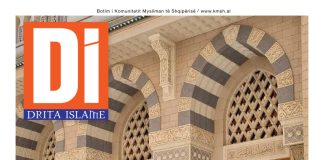 Drita Islame – Tetor 2023 – 10 (485) temp_image