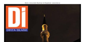 Drita Islame – Shkurt, 2021 – 02 temp_image