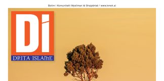 Drita Islame – 10 (453) Drita Islame - 10 (453)