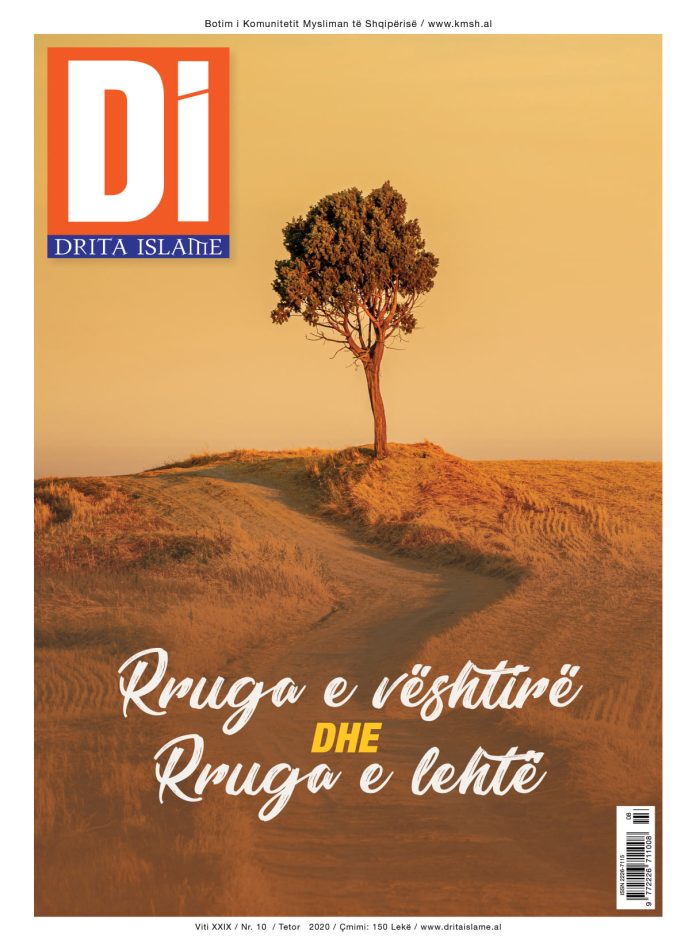 Drita Islame - 10 (453)