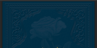 Dielli udhezues – Osman Nuri Topbash Dielli udhezues - Osman Nuri Topbash