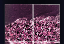 PESHKATARËT E SHPIRTRAVE NJERËZORË (Ideja e manipulimit dhe manipulimi i ideve) – Gjuro Shushnjiq PESHKATARËT E SHPIRTRAVE NJERËZORË (Ideja e manipulimit dhe manipulimi i ideve) - Gjuro Shushnjiq