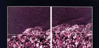 PESHKATARËT E SHPIRTRAVE NJERËZORË (Ideja e manipulimit dhe manipulimi i ideve) – Gjuro Shushnjiq PESHKATARËT E SHPIRTRAVE NJERËZORË (Ideja e manipulimit dhe manipulimi i ideve) - Gjuro Shushnjiq