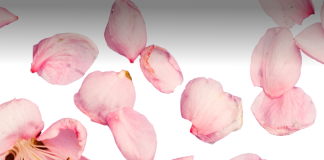 RREGULLAT E JETËS MARTESORE – Imam Gazali RREGULLAT E JETËS MARTESORE - Imam Gazali